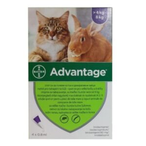 Advantage pisici si iepuri 4-8kg 4 pipete