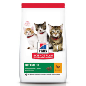 Hill's Kitten cu pui 1.5kg