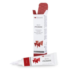 Maxani PyoMax brush 12ml
