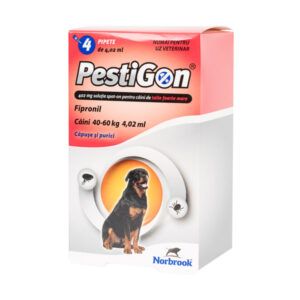 Pestigon Caine XL (40-60kg) 4 pipete