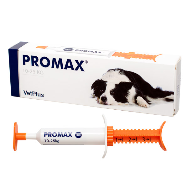 Promax talie medie 2 Hrana uscata pisici