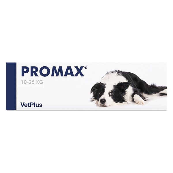 Promax talie medie Hrana uscata pisici