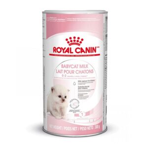 Royal Canin Babycat Milk lapte praf pisici 300g