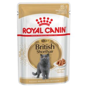Royal Canin British Shorthair plic 85g