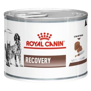 Royal Canin Recovery conserva 195g