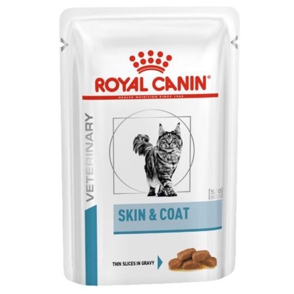 royal canin skin and coat pisica plic 85g Hrana uscata pisici