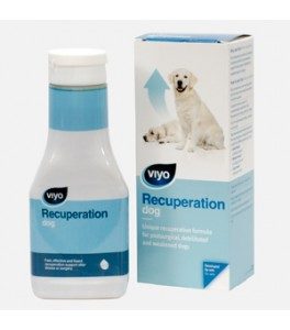 viyo recuperation dog 1 flacon 150 ml Hrana uscata pisici
